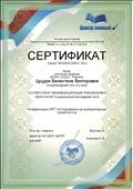 Сертификат на соответствие квалификационным требованиям в области ИКТ по результатам прохождения теста "Независимое ИКТ тестирование на компьютерную грамотность",  "Центр знаний" (12.11.2015)